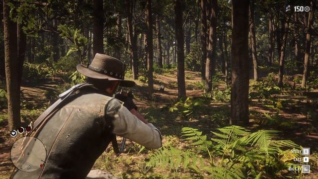 How to get a 3-star panther skin in Red Dead Redemption 2 смотреть онлайн