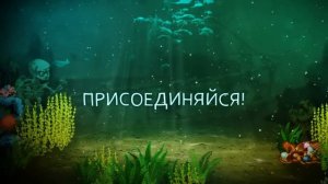 Сокровища подводного мира
