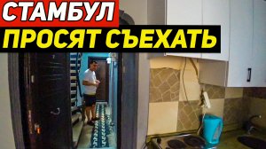 Обживаемся в Стамбуле. Почему нас переселили в другие апарты?