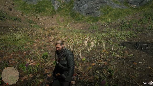 Каролинская белка (carolina squirrel) Red Dead Redemption 2 смотреть онлайн