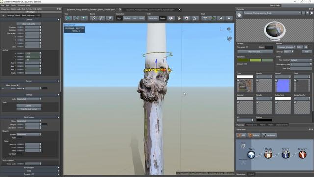 SpeedTree 8.2: Extending a Photogrammetry or Custom Trunk Using Vertex Blending смотреть онлайн