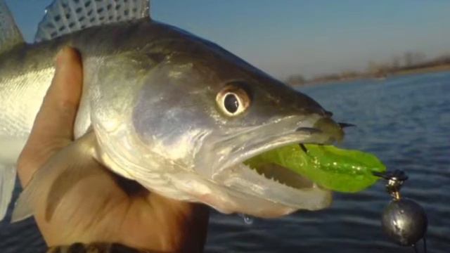 Рыба в Каме смотреть онлайн