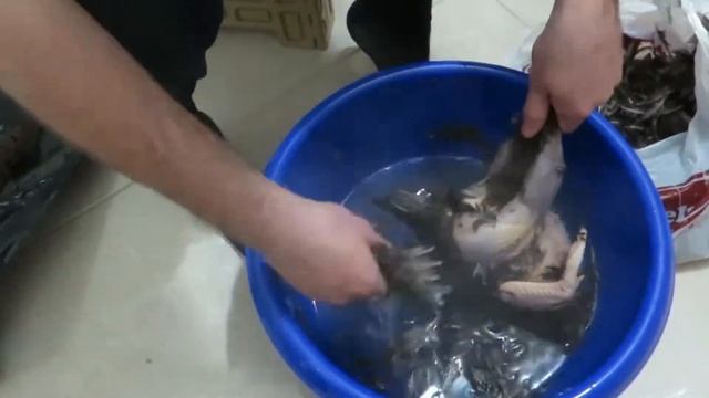 Как ощипать / разделать ФАЗАНА