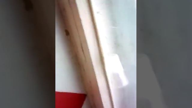 Чем можно отмыть окно в домашних условиях смотреть онлайн