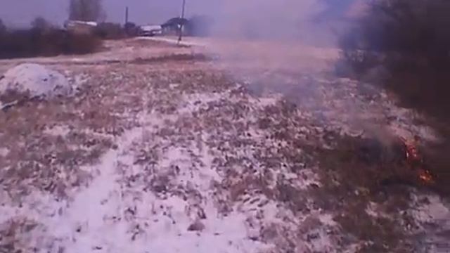 Мотоблок Гарден Скаут, отвал Целина. Чищу участок от бурьяна. смотреть онлайн