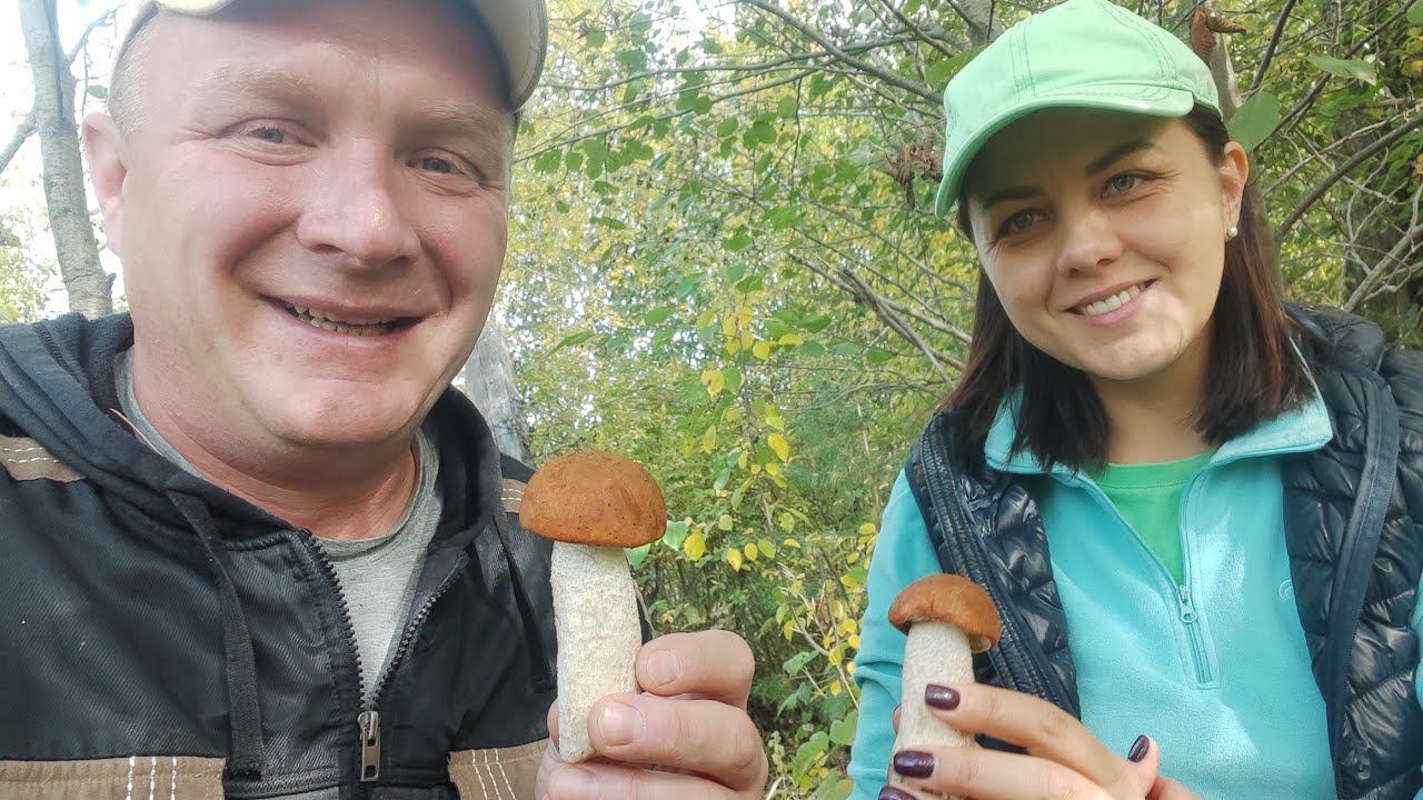 ГРИБНАЯ ОХОТА смотреть онлайн