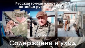 Фильм #2 - Содержание и уход - Русская гончая и охота с ней на зайца беляка и русака