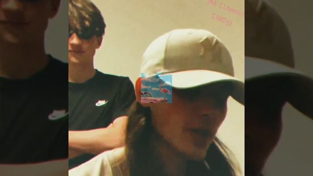 PINK FLAMINGO FREESTYLE VHS - Foleymingo смотреть онлайн
