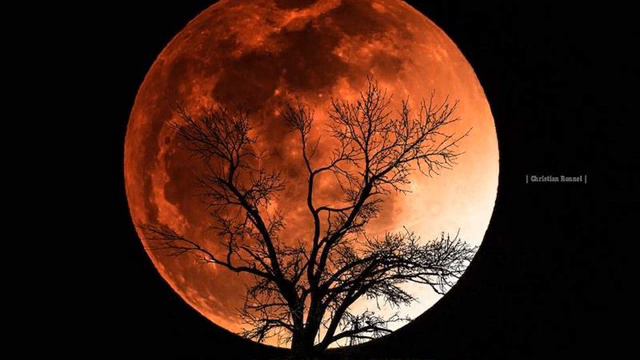 Blood Moon смотреть онлайн