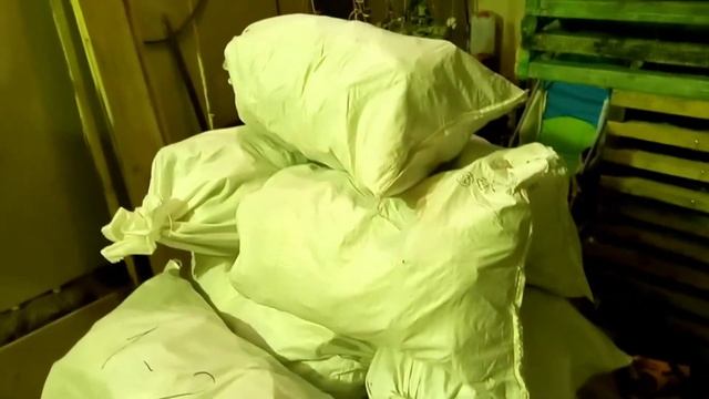 Фасую чагу, как убрать плесень с чаги, как хранить сушёную, сколько я заработал за 9 дней. смотреть онлайн