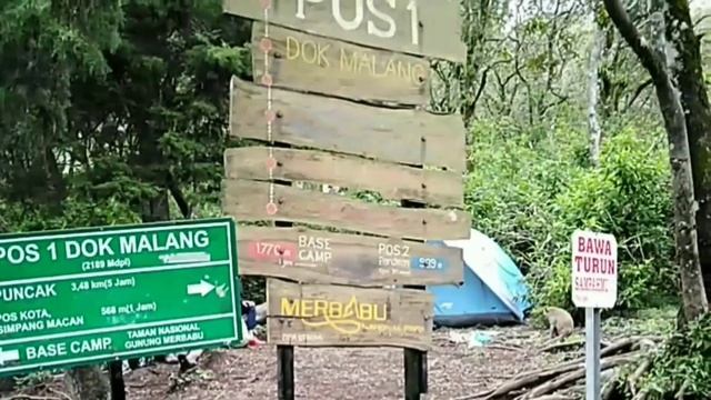 Gunung Merbabu via Selo || Pendaki cilik memacu semangat mendaki demi Merbabu || kopong doni part 1 смотреть онлайн
