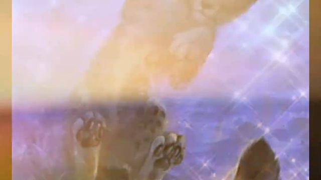 Эдит снежный барс смотреть онлайн