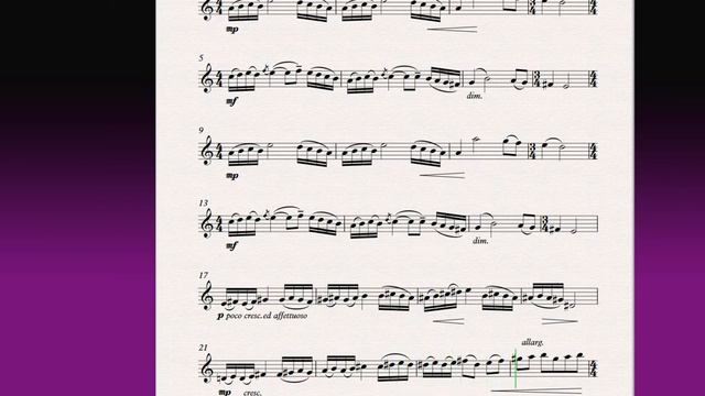Мелодія Melody М.Скорик M.Skoryk  Скрипка/Violin (Скрипка)/(Violin)