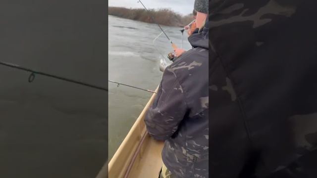 Астрахань рыбалка охота база отдыха лоцман . Рыбалка огонь ?