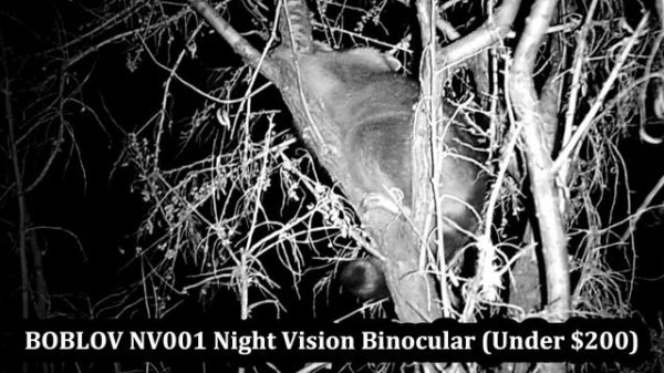Budget Night Vision on 2021! (BOBLOV NV001 Night Vision Binocular Under $180)