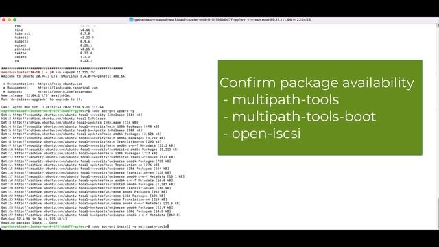 IBM FlashSystem Block CSI driver demo for VMware Tanzu Kubernetes Grid -TKG- смотреть онлайн