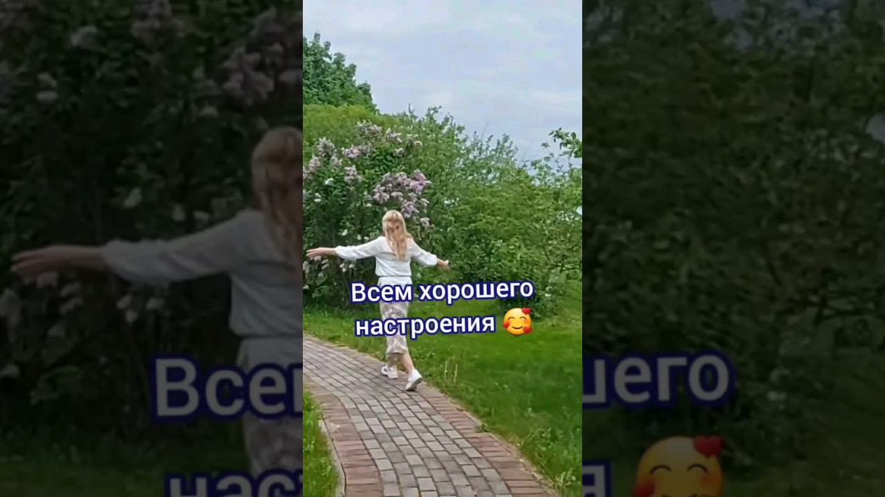 Хорошо сказала #авторпесен #любовь #shorts смотреть онлайн