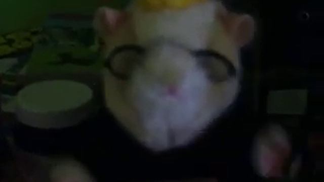 Happy Birthday Mouse Boy!!! 前略 - 草々 смотреть онлайн