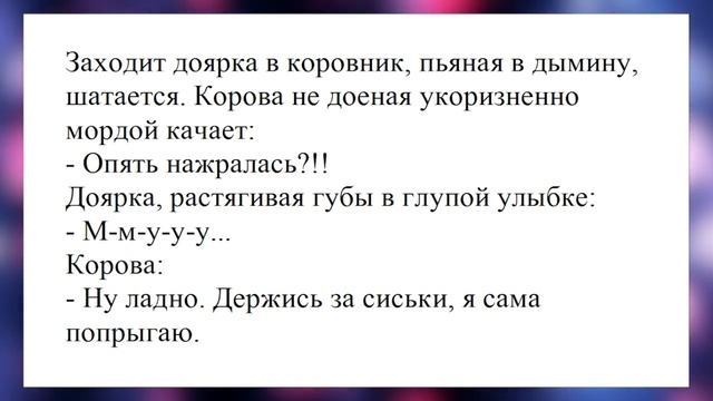 Почему ты закрылся от меня? Лучшие анекдоты. Смешные анекдоты. Веселые анекдоты. Смех. Досуг. смотреть онлайн