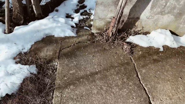 24 января В гостях у бабушки #Краснодарский край смотреть онлайн