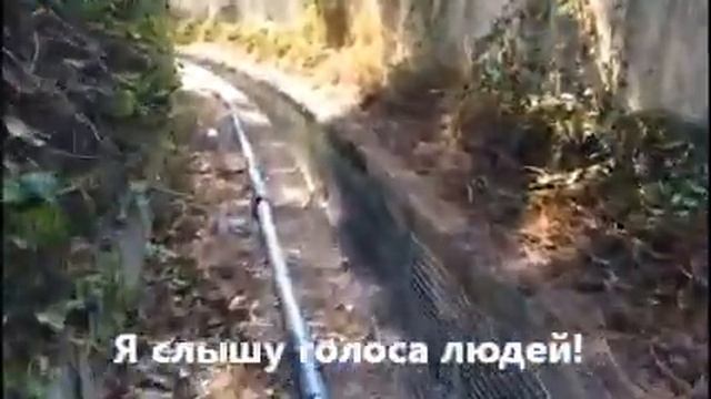 Малыш насос, качает в длину! ARNABAT BH-SMAX150 смотреть онлайн