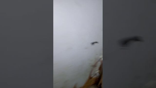 Мощная вытяжка в гараж