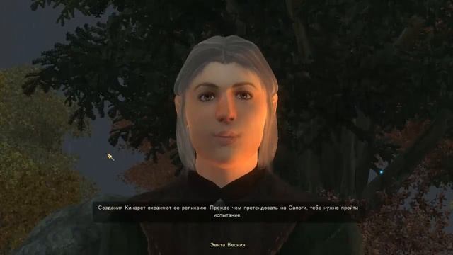 Oblivion: "Рыцари девяти" полное прохождение. смотреть онлайн