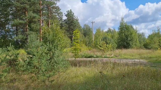 Ребенок 7 лет первый раз на питбайке смотреть онлайн
