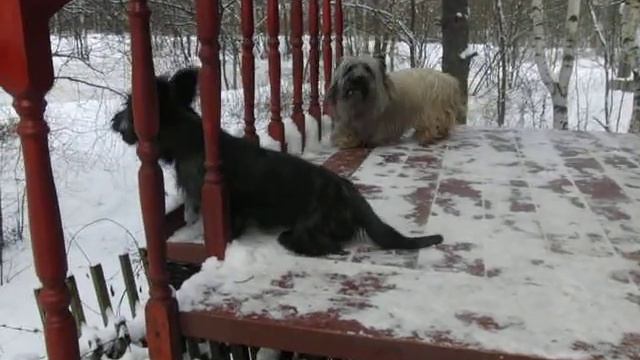 Охрана дома смотреть онлайн