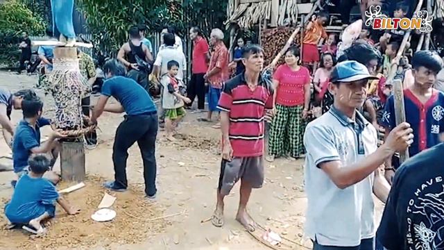 Karungut Paniwah Piter Bapa Dewo Tumbang Maraya by. Bilton смотреть онлайн