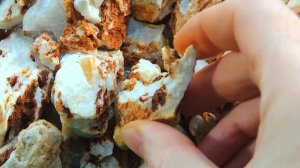 Мангровый краб. Купили крабу подружку. Переселение крабов в новый аквариум. Декорация для краба DIY