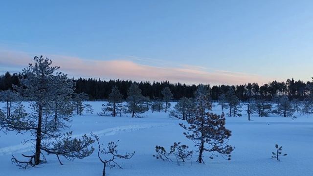 Зимняя рыбалка на забытых богом таежных озерах Архангельской области смотреть онлайн