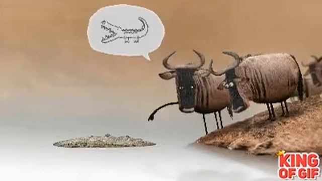 Ты можешь быть бесконечно прав ,но какой смысл ,если ты идиот? смотреть онлайн