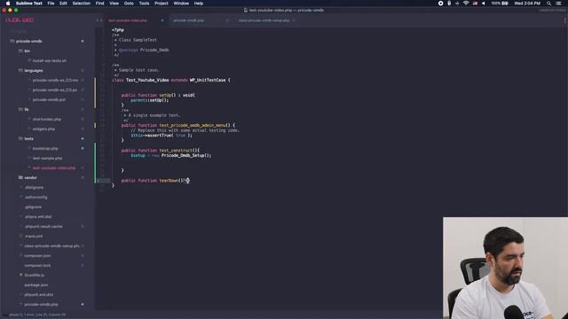 WordPress Plugin Development Tutorial - Adding PHP Unit Tests - Pricode смотреть онлайн