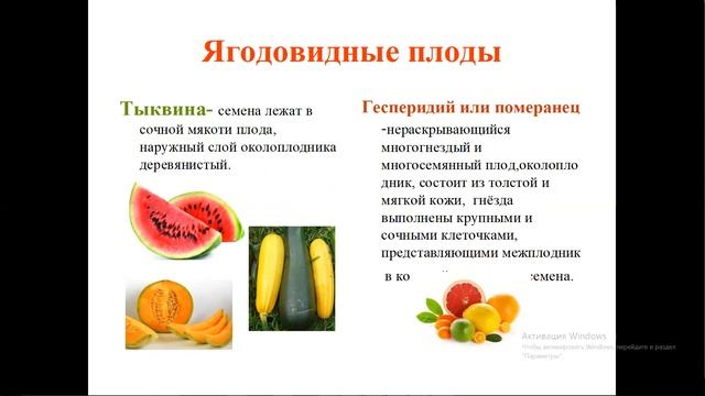 ? Плоды. Подготовка к ЕГЭ и ОГЭ по биологии. смотреть онлайн