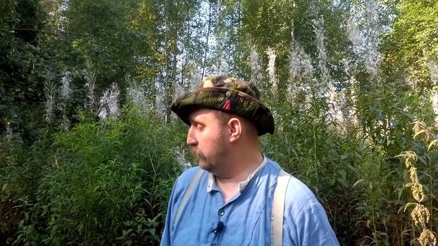 Болотный проект: в поисках Ивангородской дороги. цикл походов смотреть онлайн