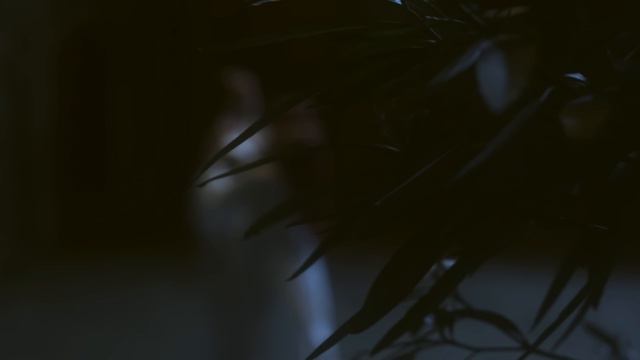 150. Blackbriar - Moonflower (feat. Marjana Semkin смотреть онлайн