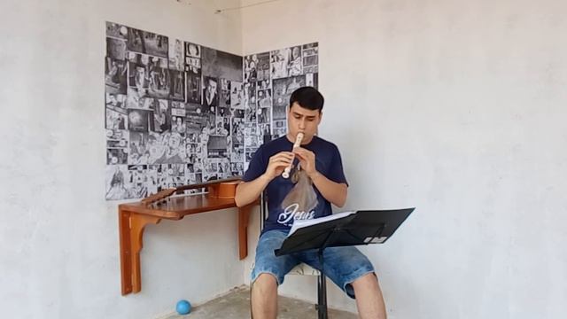 Quem é (Agnaldo Timoteo) flauta: Anderson Átyla, link da partitura na descrição do vídeo смотреть онлайн