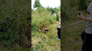 echo srm 22 ges диск