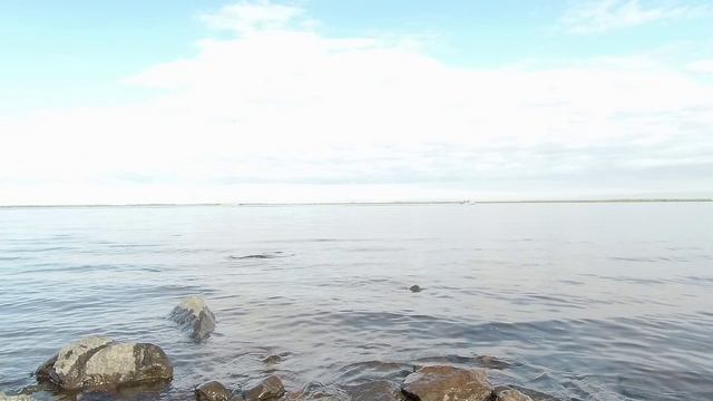 На излёте лета… Прогулка по берегу реки Обь.mp4 смотреть онлайн