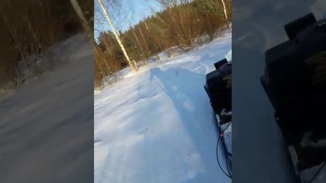 Барс Следопыт смотреть онлайн