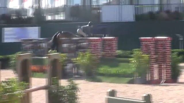 Julius - Performance Working Hunter 3'6" смотреть онлайн