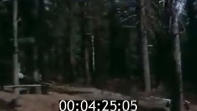 Где берет разбег Енисей 1978 смотреть онлайн