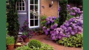 Палисадник это визитная карточка дома. 30 идей для вдохновения.