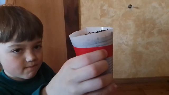 Сажаем хризантеллы | Хозяин цветов