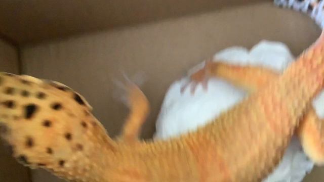 12-08-2024 смотреть онлайн