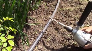 Капельный полив.  Как наладить систему капельного полива!?