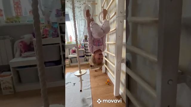 Шведская стенка с турником - гимнастика для детей. смотреть онлайн