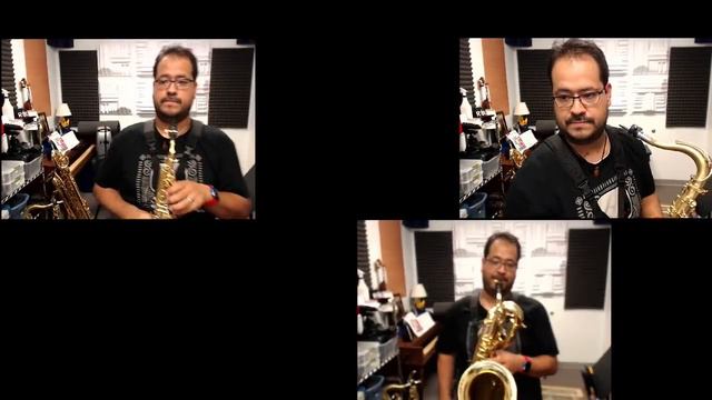 Bonetrousle (From "Undertale") Saxophone and Piccolo Video Game Cover/Remix смотреть онлайн