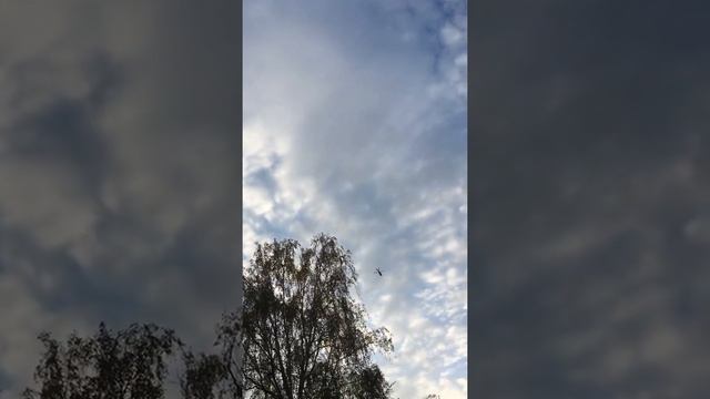 Вертолет. Мытищи смотреть онлайн
